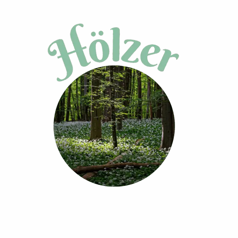 Wald mit Bäumen und Wiese